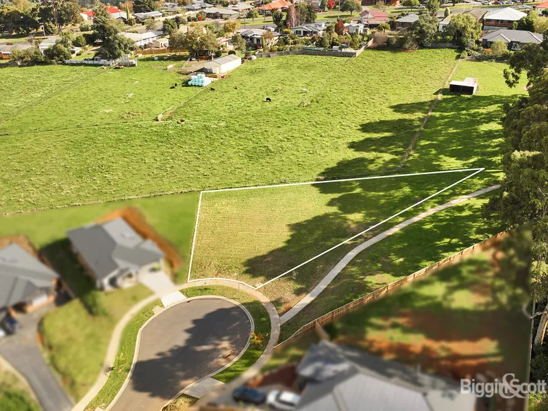 1219m2 in quiet court