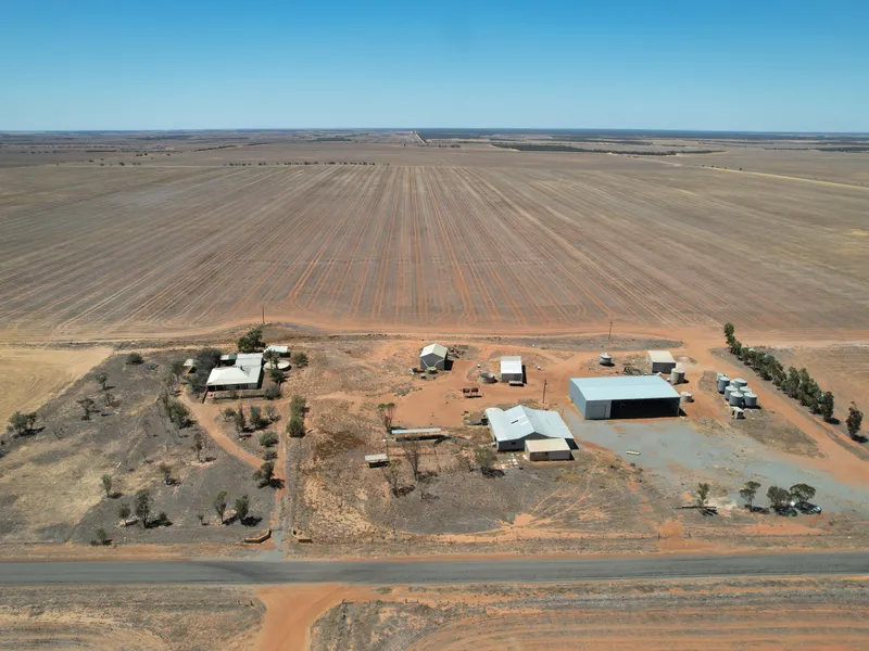 Terera | Ogilvie WA