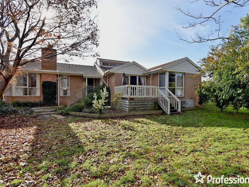 THE FAMILY ENTERTAINER IN QUIET COURT LOCATION