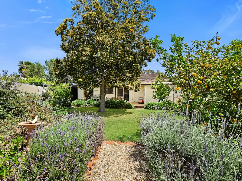 Eden on Eden | Fully Furnished | Short Lease Available (Water & Electricity Incl.)