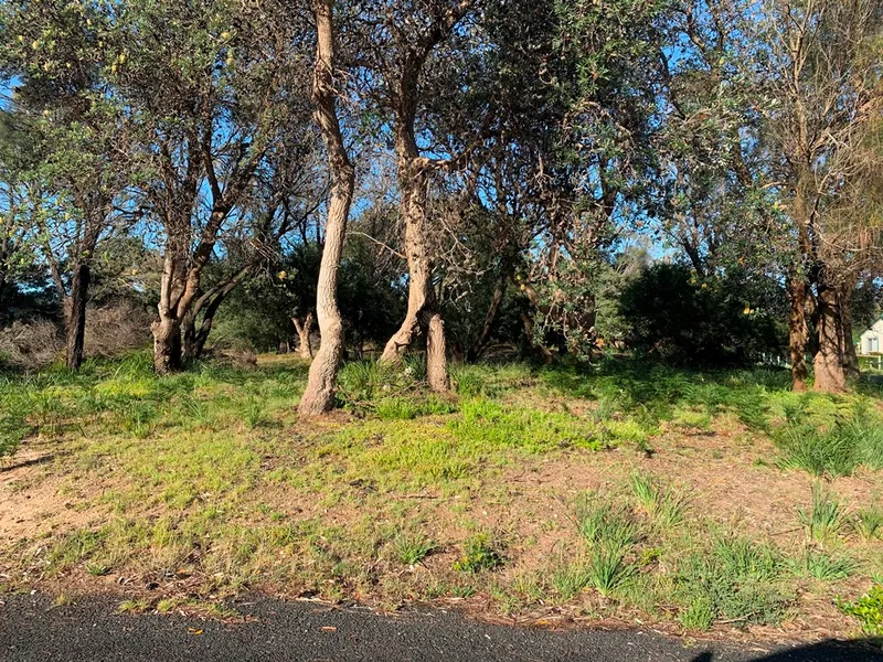 FLAT, SEMI CLEARED, CORNER BLOCK