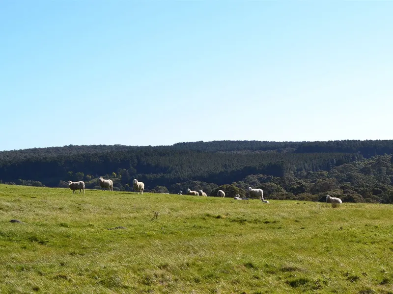 Wonderful  104 acres on Ballan's doorstep