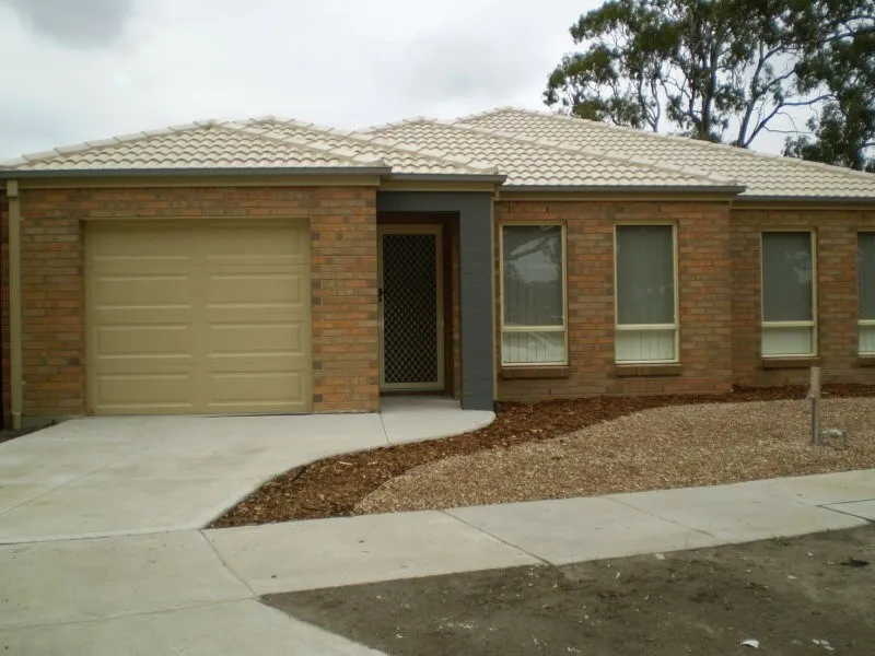 WALKING DISTANCE TO COLES SUPERMARKET