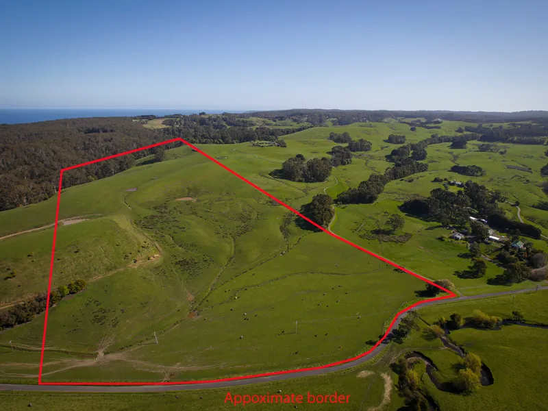 A 'Rural Activity Zone’ rarity