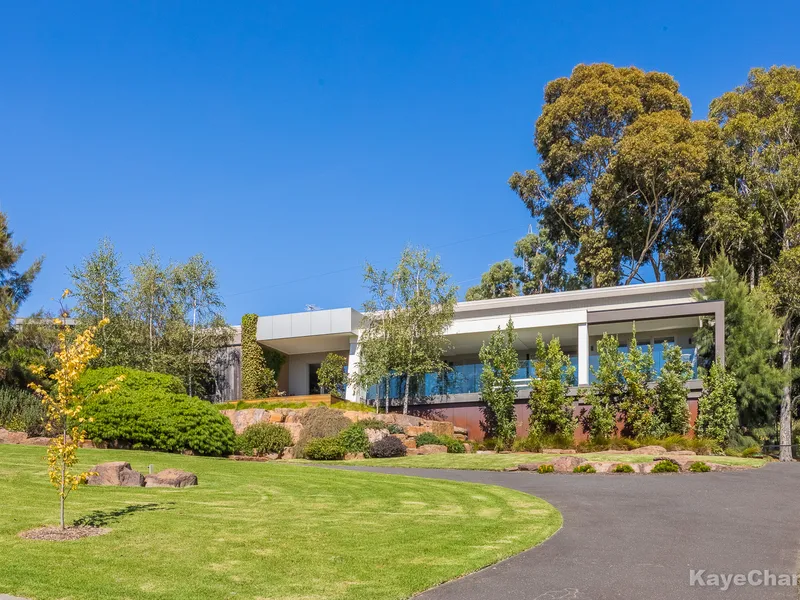 A Modern Masterpiece in Blue Chip Local