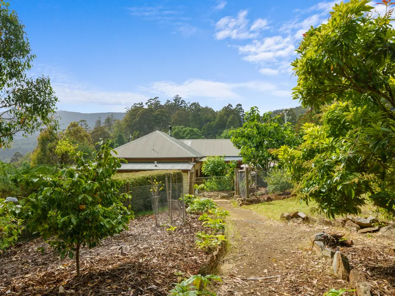 Classically Tasmanian