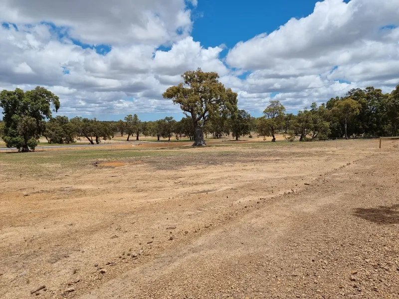 YOUR OWN SLICE OF HEAVEN