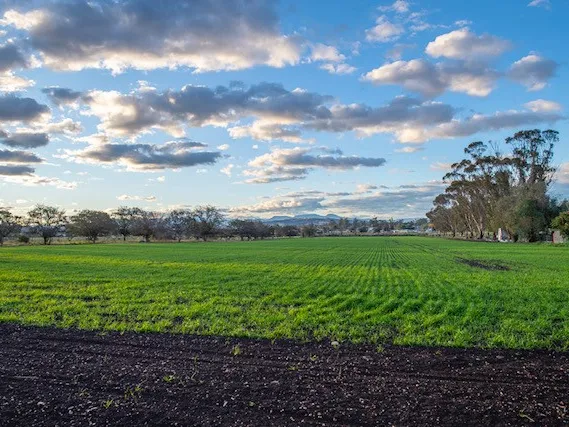 Excellent Sub-Division Opportunity