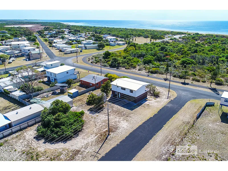 Holiday House Catch of the Day