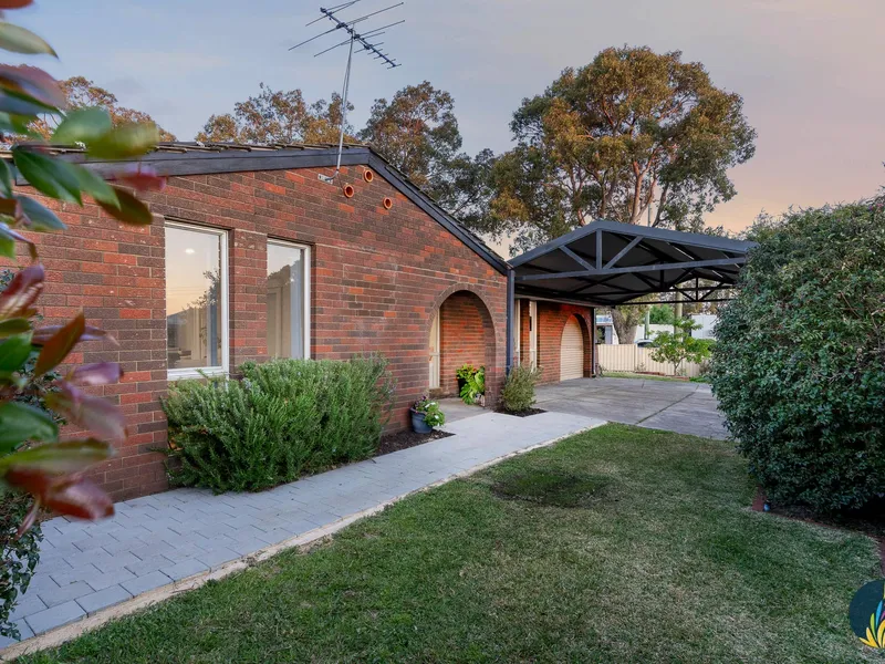 Solid and Sensationally Sassy