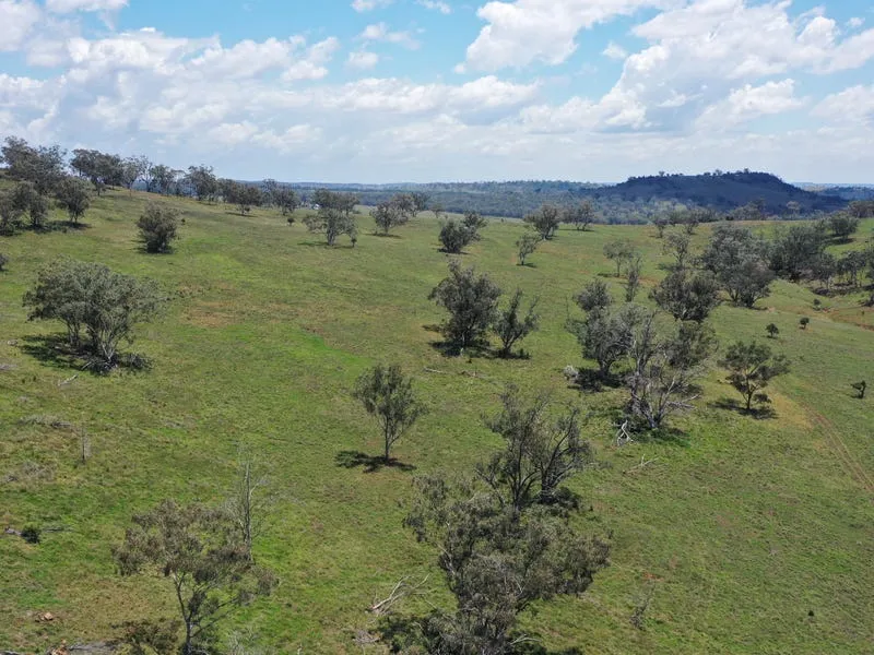 Liverpool Plains Grazing - fertile soils with great water