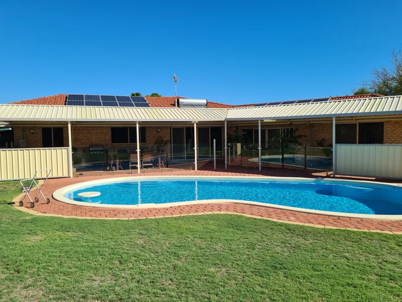 Let me Entertain you!