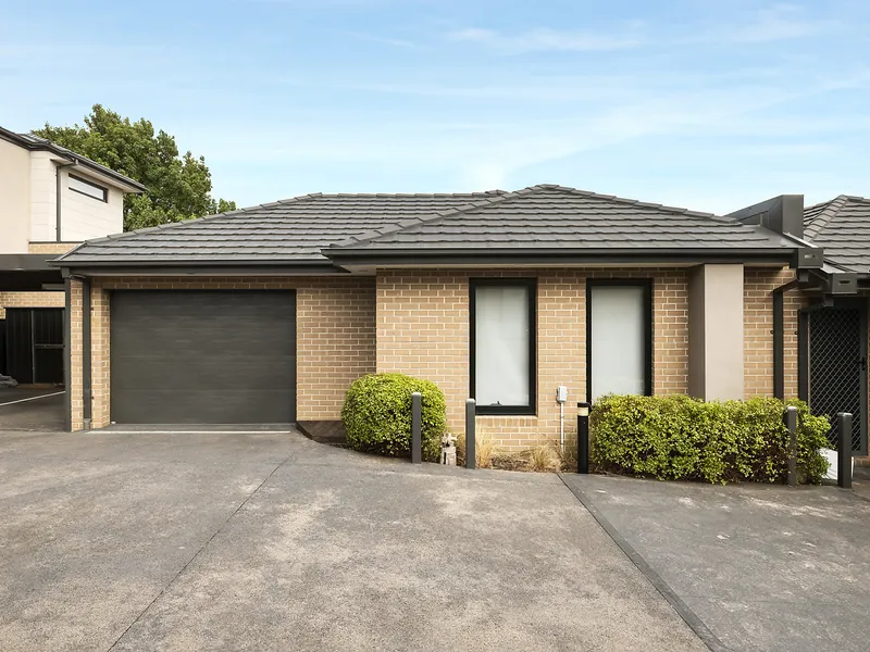 Easy Investment or Entry-Level Perfection!