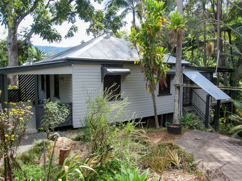 Rainforest Retreat