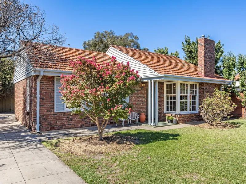 MAKE SHANNON YOUR NEXT LOVE!