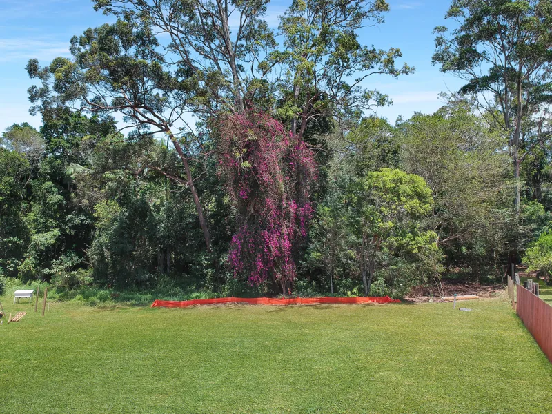 Prime Land with Forest Views