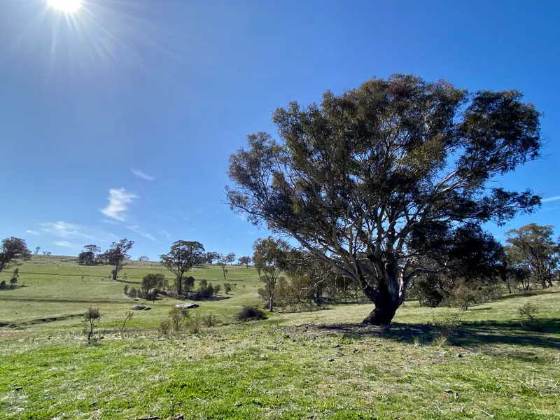 Lot 132 - O’CONNELL VALLEY LIFESTYLE BLOCKS