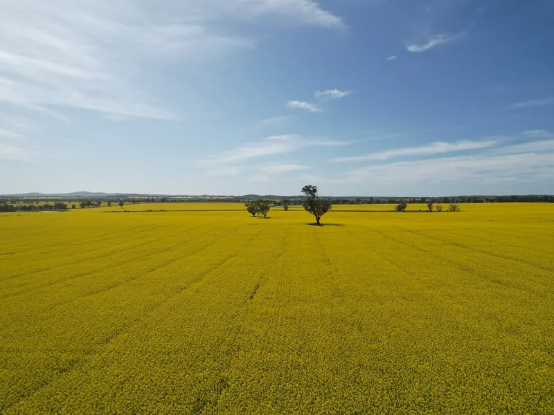 Cropping & Grazing Land