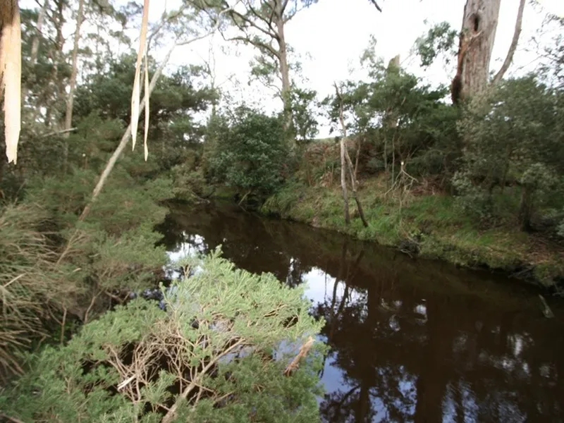 Down by the Riverside