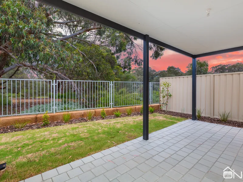 Amazing Natural Landscape 