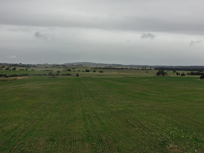 CROPPING & GRAZING LAND - Stuart Mill