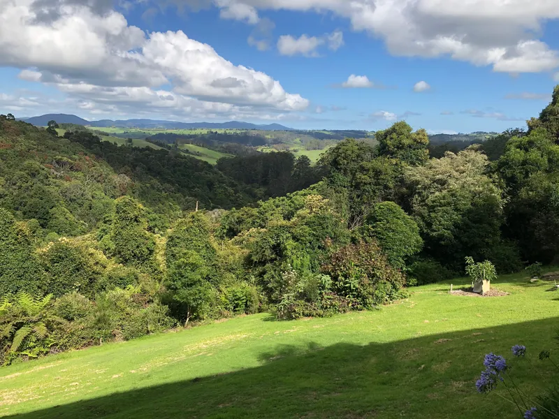 CEDAR GROVE...rainforest-wildlife-views