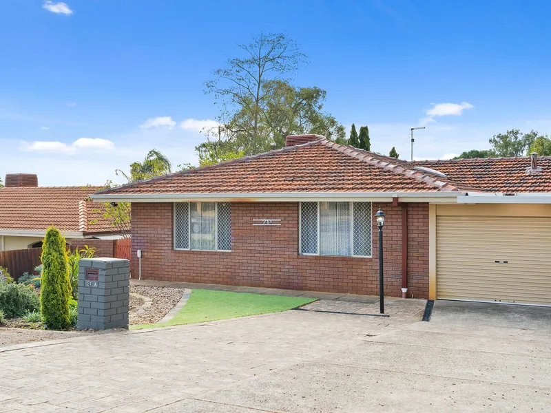 Welcome to PARINdise