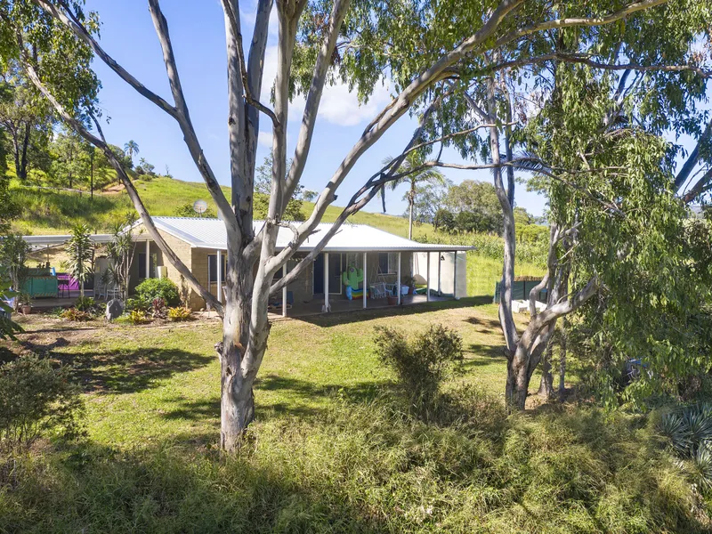 Want Koalas for Neighbors?