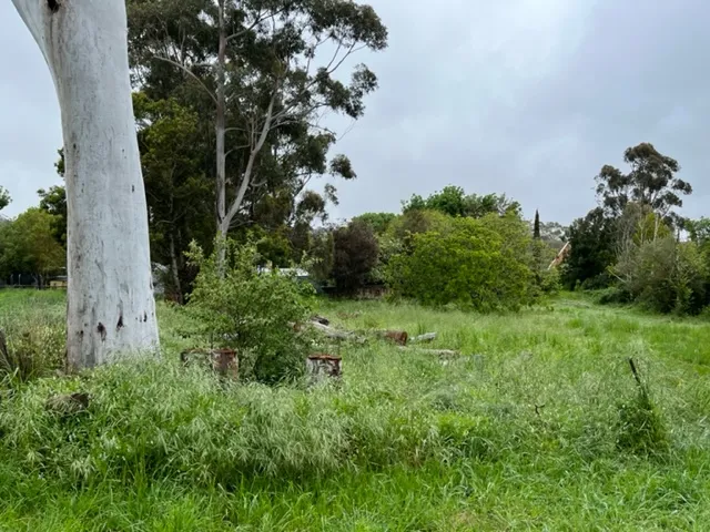 Ready To Build your Castle ? Look no Further Historic Meadows awaits .