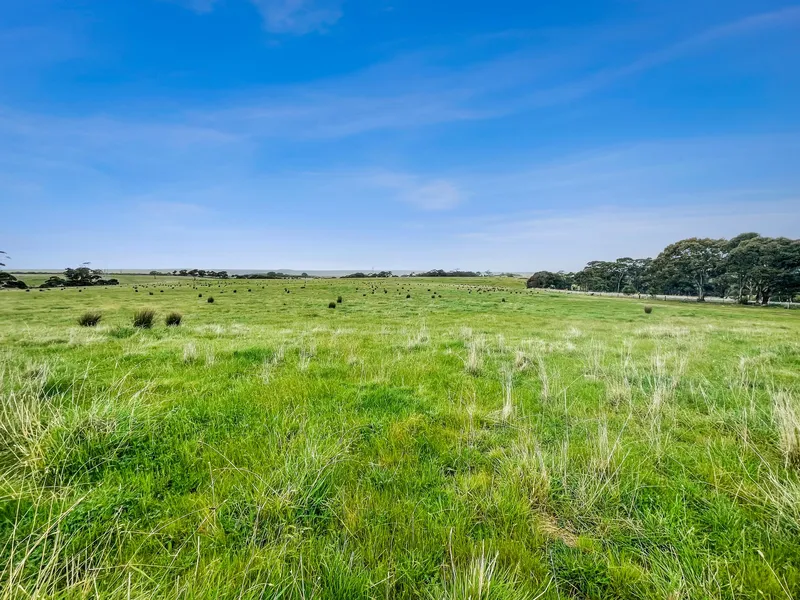 Prime Farming Land with Unlimited Possibilities