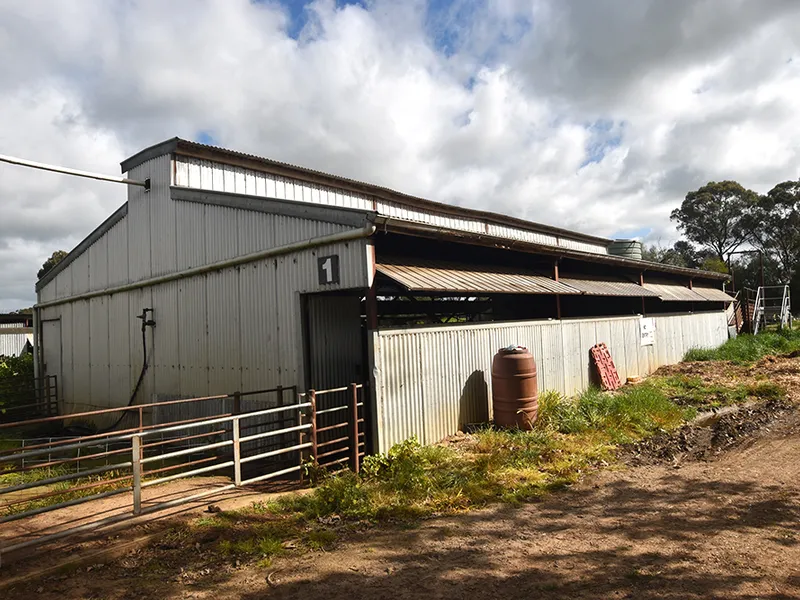 95 Acres With Many Options