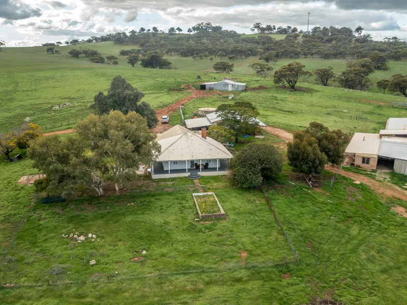 A Killer Farm Here!!!