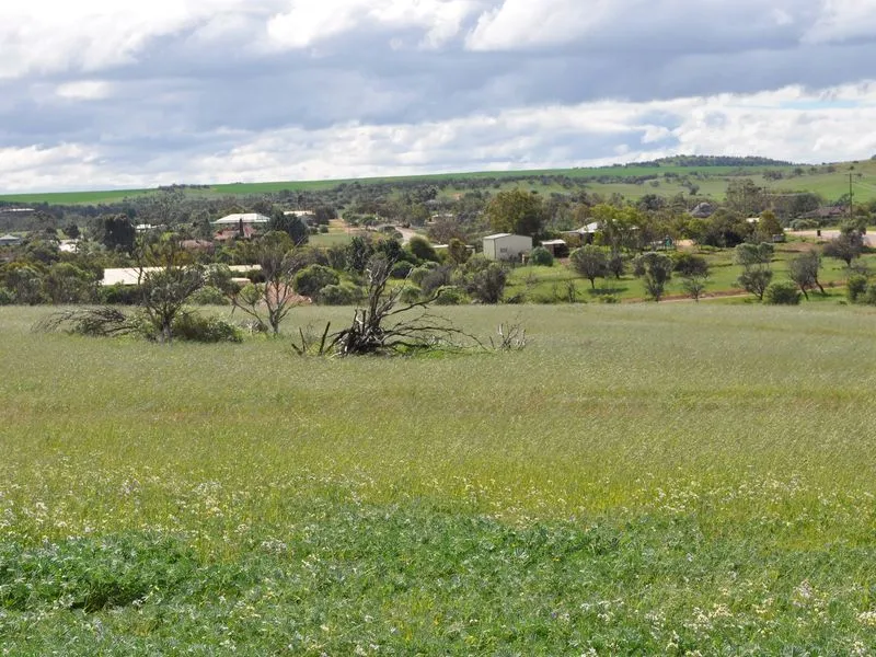 Developers Liquidation Sale!