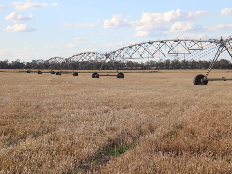 Jones’ is a versatile property with many opportunities - Cropping, Grazing & Irrigation
