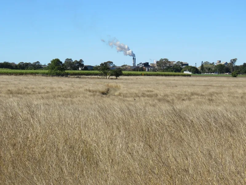 Horses - Cattle - Cropping
