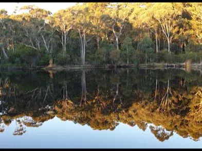 Rare Earth in the Walpole Tablelands!