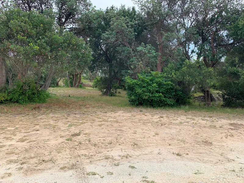 Across The Road From The Beach