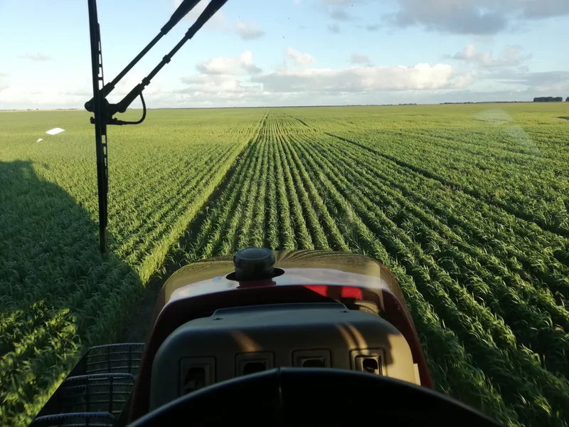 'Shiloh Farms' - Staged Sale Substantial Mixed Farming Opportunity East of Esperance