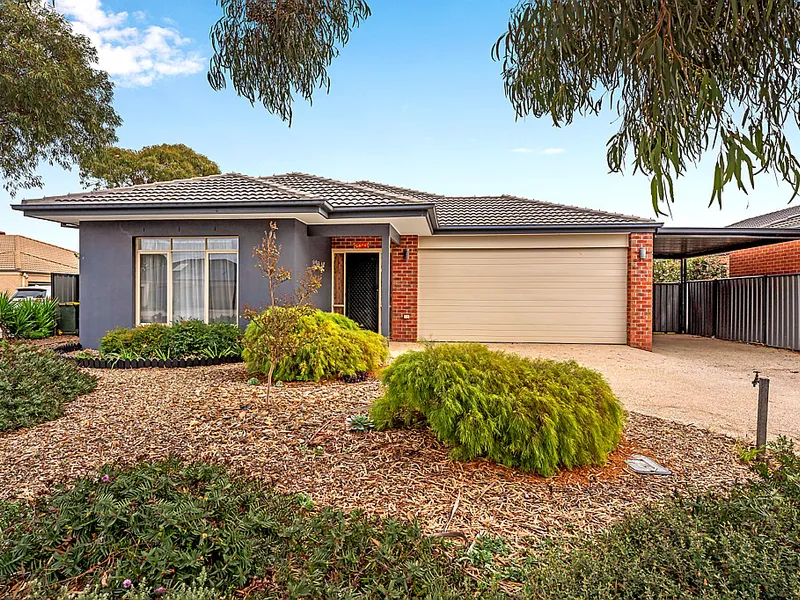 Beautiful & Functional