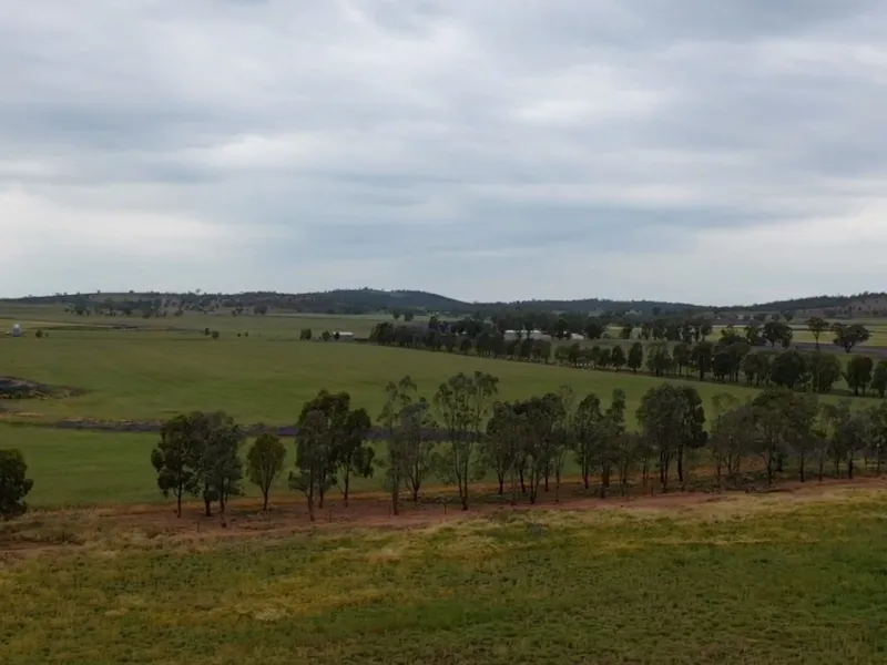 'Ben Hall' Country - 'Brampton Park'
