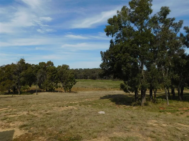 Ready to Build your Dream Home on Acreage !