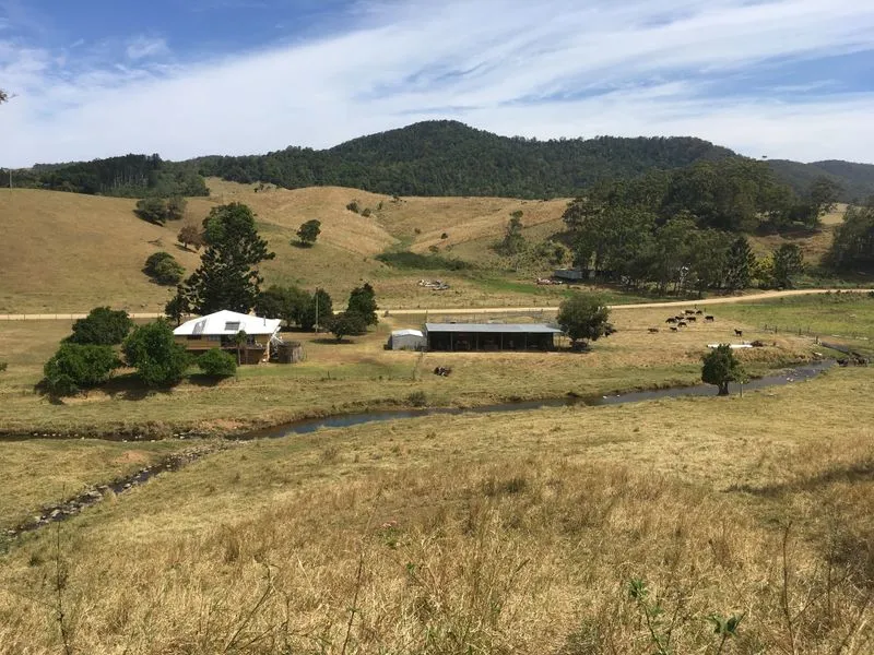 Country Hideaway or Business Opportunity