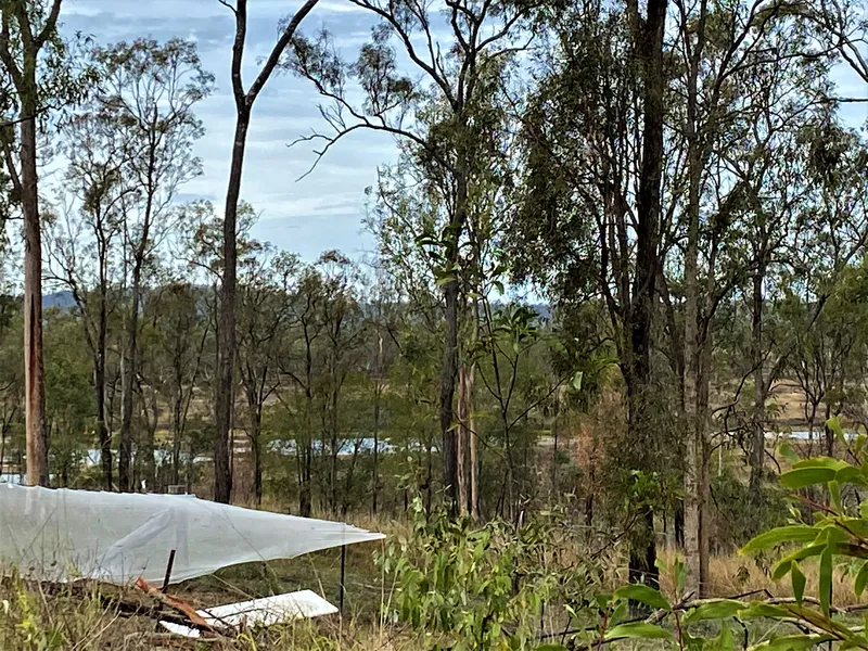 Do you want a home among the Gum Trees?