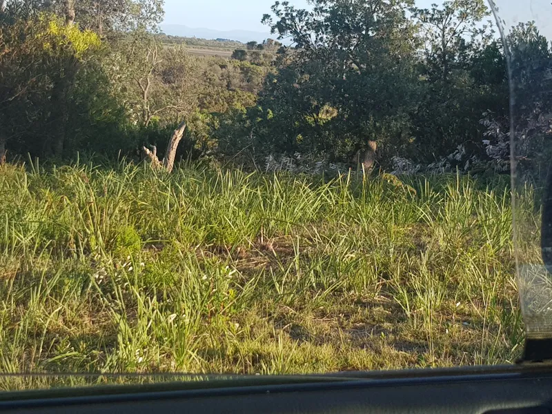 Very Little Left At This Price, So Don’t Miss Out!!