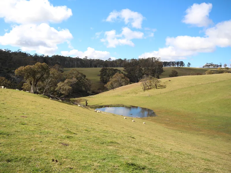 “Chimney Creek”