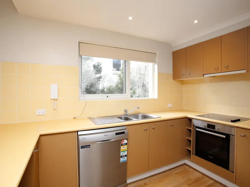 Leafy boutique apartment