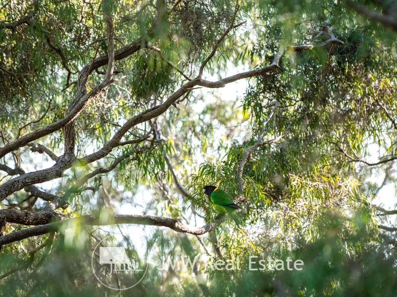 CAPTIVATING VIEWS OVER THE NATURE RESERVE