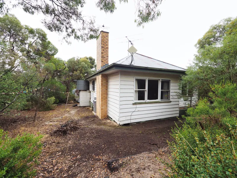 Home at the foot of One Tree Hill in a natural bush setting