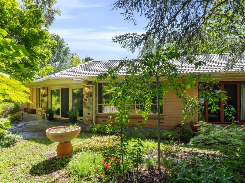 Fly away to a Hills oasis with mid-century cues and a tranquil corner position, just a pause from Stirling…