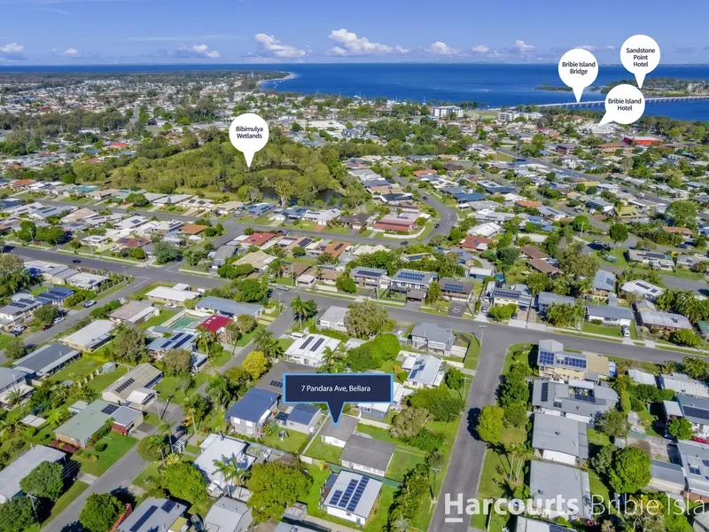 Best Cheap Renovator On The Market!